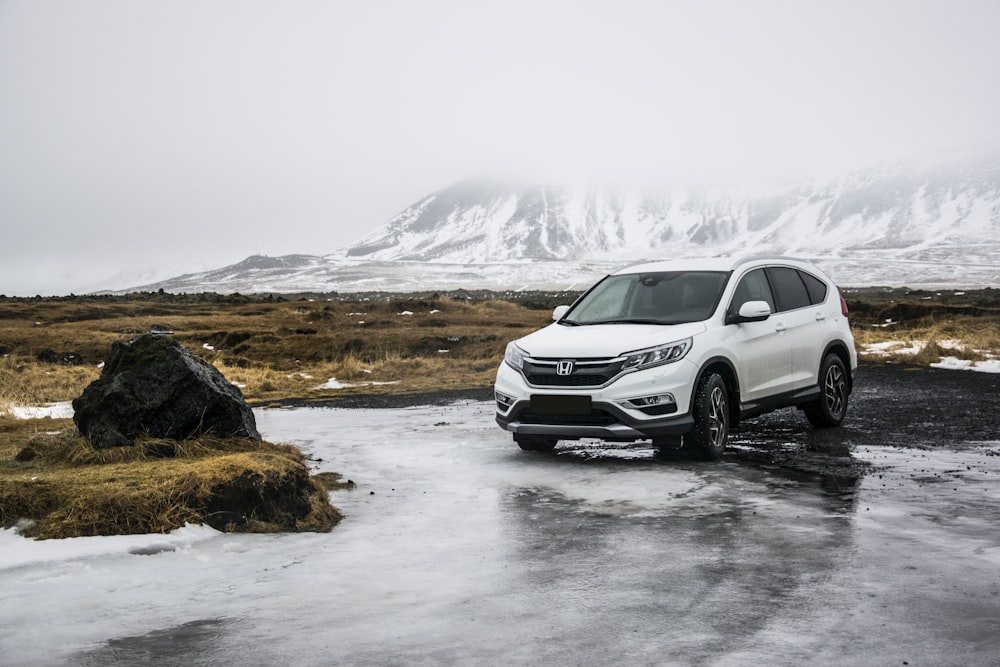 SUV and pickup